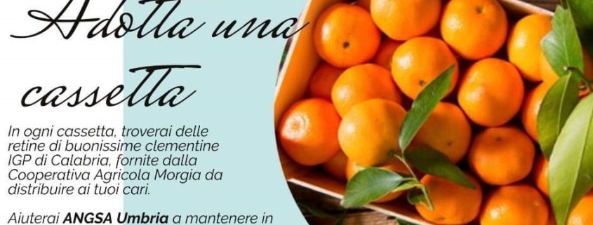 Cartolina promo Clementine 2022 VERSIONE B